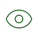 Our Vision